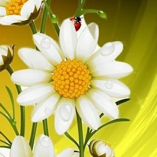 Логотип @otkrytky8 - Любовь. Цветы.Открытки