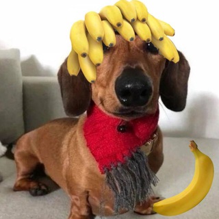 Логотип @otveti05izberbash - Ответы ОГЭ Дагестан 05 регион