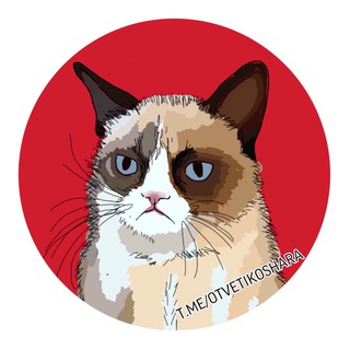 Логотип @otvetikoshara - ОТВЕТЫ ВОШ ВПР СтатГрад 2022