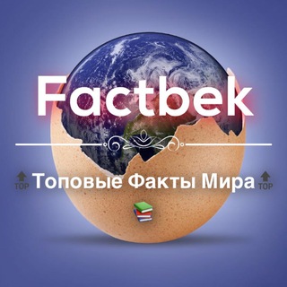 Логотип @otvetynahistory - Factbek - Интересные Факты