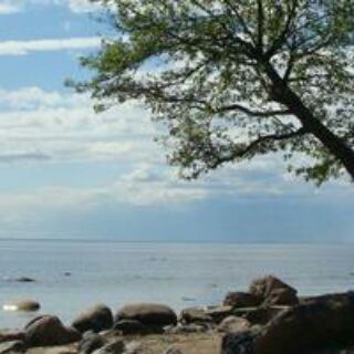 Логотип @otvor - Творчество как наука