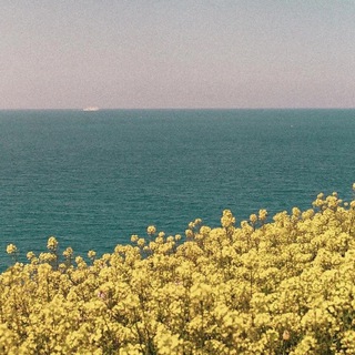 Логотип @otzyvyuvays - ت