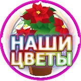 Логотип @ourflowers1 - ourflowers1