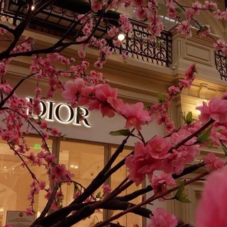 Логотип @oursoullnes - SᴏᴜʟBʟɪᴘs