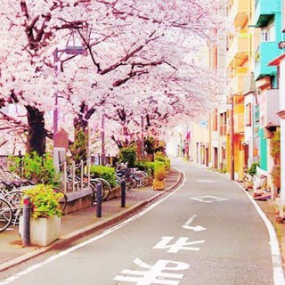 Логотип @outakuworldz - Otaku World $'