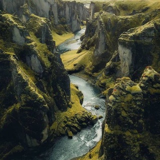 Логотип @overheard_stories - Просмотры