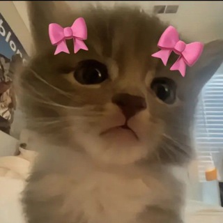 Логотип @overlface_chat - 𝙊𝙫𝙚𝙧.𝙛𝙖𝙘𝙚 | 𝙨𝙥𝙚𝙚𝙙 𝙪𝙥 | чат.