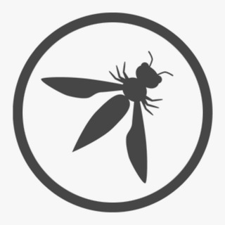 Логотип @owaspgroup - OWASP