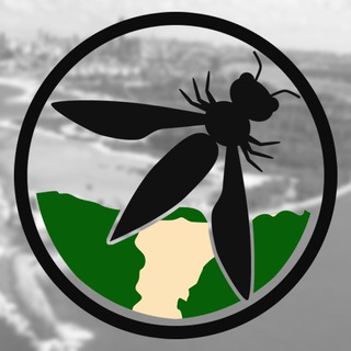 Логотип @owaspnatal - OWASP NATAL