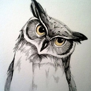 Логотип @owlblog2019 - 🦉Owl-Blog🔥 Заработок в интернете✅