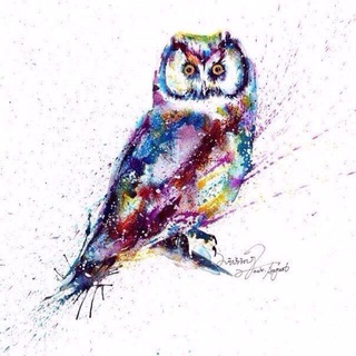 Логотип @owllab - OWL LAB