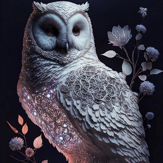 Логотип @owls_di - Совы (Owls) 🦉