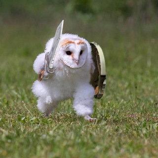 Логотип @owlsova1991 - Авито бизнес идеи с нуля