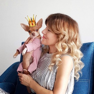 Логотип @oxana_and_chiwawa - Оксана & Чихуахуа Бонита