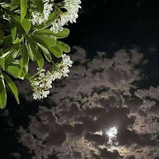 Логотип @ozim_uchunn_1 - O‘zim uchun