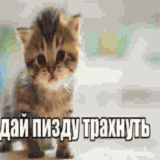 Логотип @p1anist_trade_chanel - йуХ