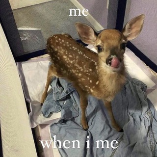 Логотип @p1sc2s2 - переехала