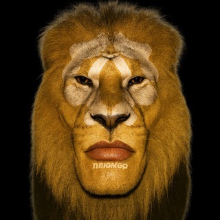 Логотип @p1umer - ПЛЮМЕР