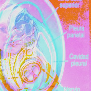 Логотип @p_afgani_poetry - Паломничество в промзону