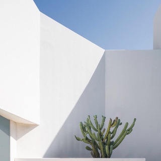 Логотип @p_igumenovaa - p.igumenova