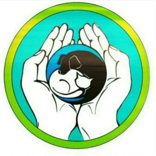 Логотип @p_na_zh - ПРАВО НА ЖИЗНЬ |КЧР