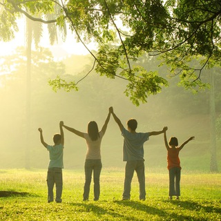 Логотип @p_organics_cancer - PO - Мир без рака (канал)