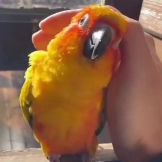 Логотип @p_p_rezepty - 🥦 РЕЦЕПТЫ ПП 🥦