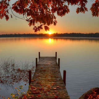 Логотип @p_r_o_f_o_t_o - Profoto