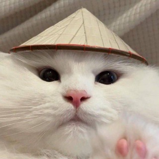 Логотип @padaemblyat - да вы рофлите