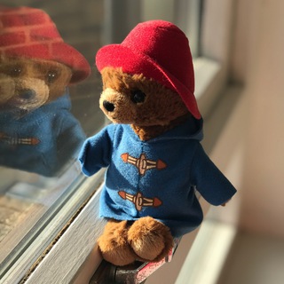 Логотип @paddingtonj - Паддингтонь