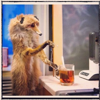 Логотип @pageturner - Переверни страницу