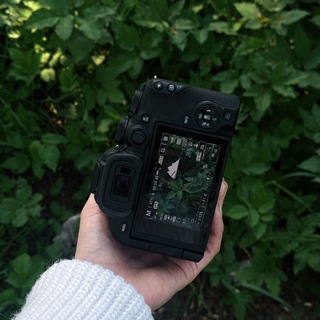 Логотип @paintttroom - ArtLibrium