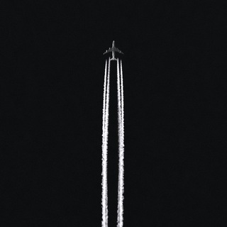 Логотип @palach_sanson - Cherchez la femme