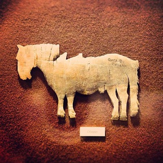 Логотип @paleoethnography - Палеоэтнография