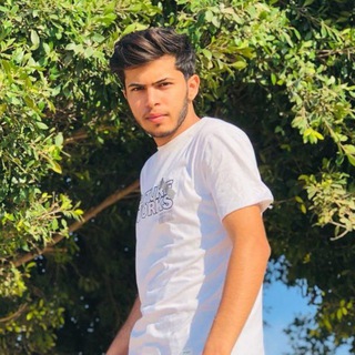 Логотип @palestine_inenglish - براء عياش | Baraa ayyash
