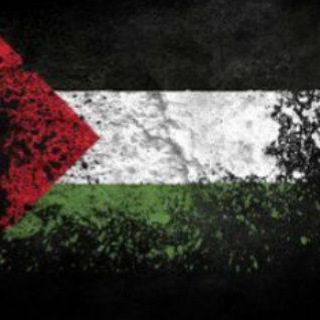 Логотип @palestine_news_update - Eyes On Gaza 🔴