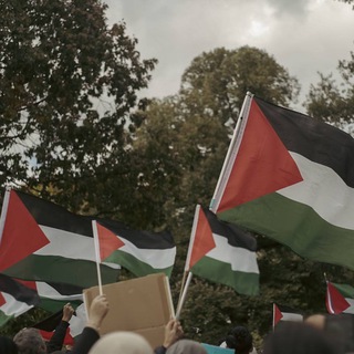 Логотип @palestinemuenster - Palestine Actions Münster