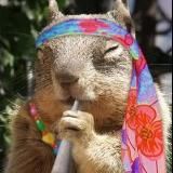 Логотип @palevanety - Запахи травки в неожиданных местах