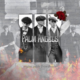 Логотип @palm_angels - Palm Angels 🇮🇹