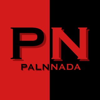 Логотип @palnnada - Palnnada