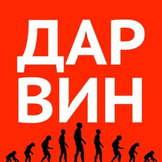 Логотип @pandabande - ДАРВИН