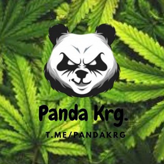 Логотип @pandakrg - Канал PandaKrg🐼