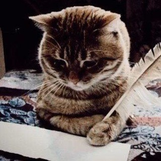 Логотип @pandiinus - 5Y sta Chat