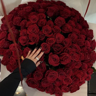 Логотип @pandorkaaa - ᴘᴀɴᴅᴏʀᴀ