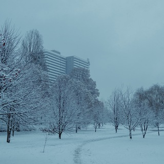 Логотип @panelyky - Панельки