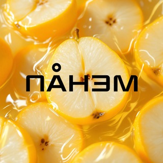 Логотип @panem63 - Компания ПАНЭМ