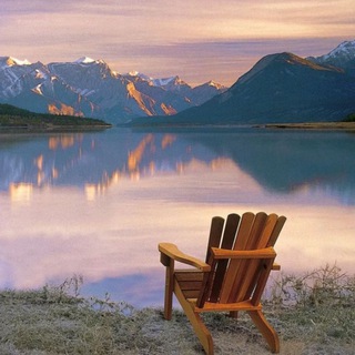 Логотип @panicstop - Укротители Жизни