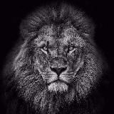 Логотип @panjsherjon - panjsherjon