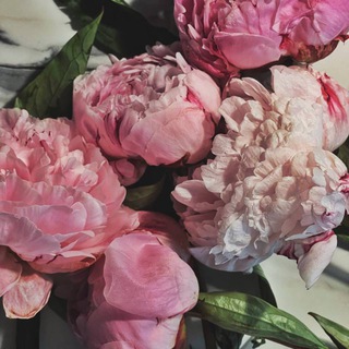 Логотип @pankiisskaya - pankísskaya