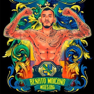 Логотип @panoptimum - Pan Optimum